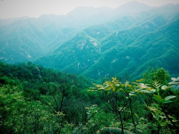 湖南嚴(yán)控采砂場使用林地審批 使用結(jié)束后一年內(nèi)需復(fù)綠